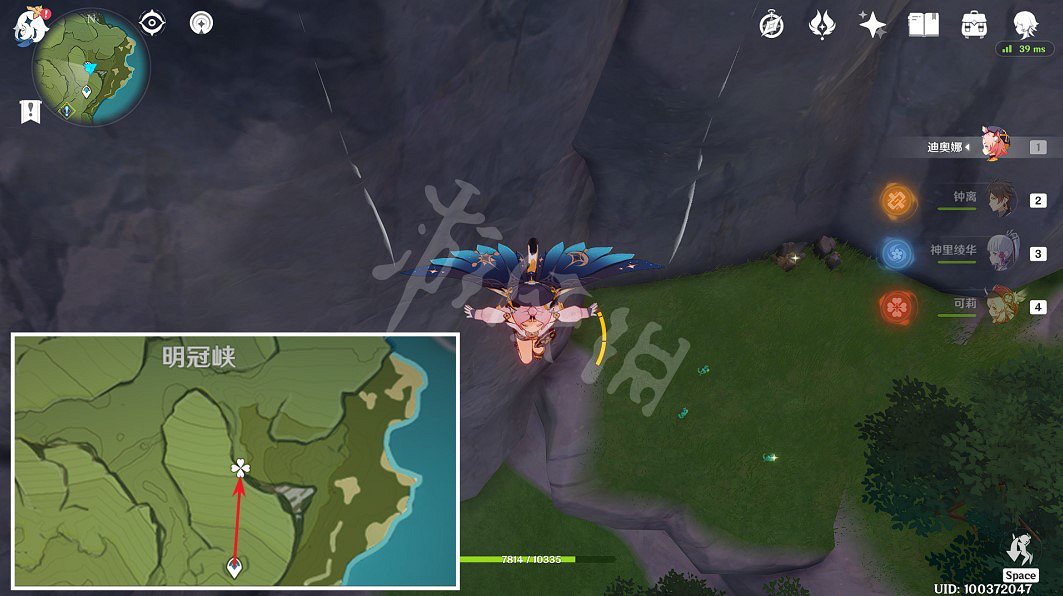 《原神》小燈草在哪裡採？3.4小燈草採集路線推薦