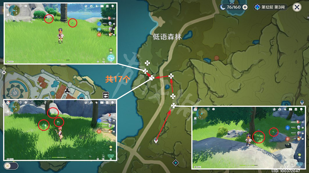 《原神》小燈草在哪裡採？3.4小燈草採集路線推薦