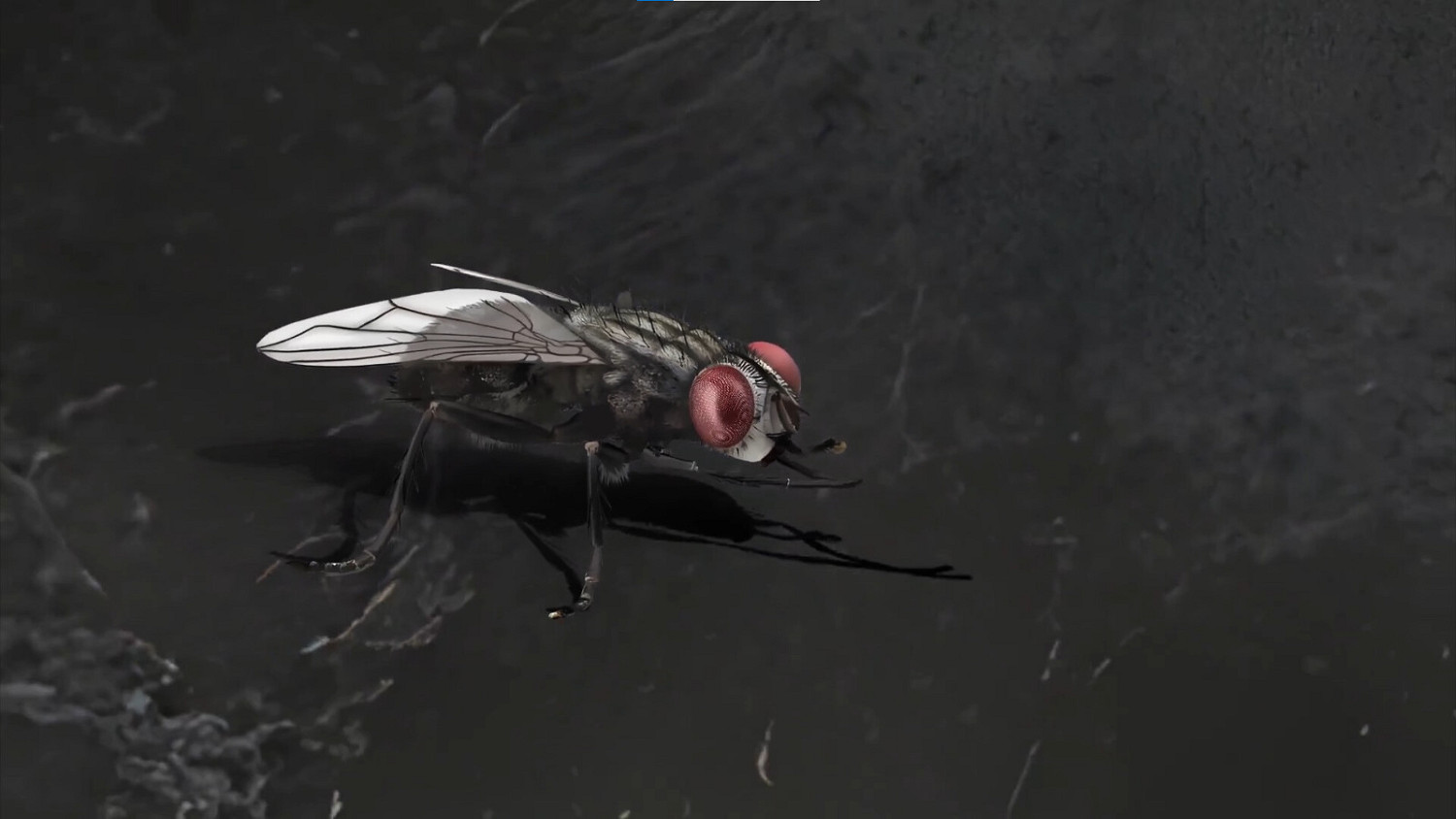 《殘穢的我們第二章》發售日公布!試玩版現已推出 《殘穢的我們第二章》發售日公布!試玩版現已推出