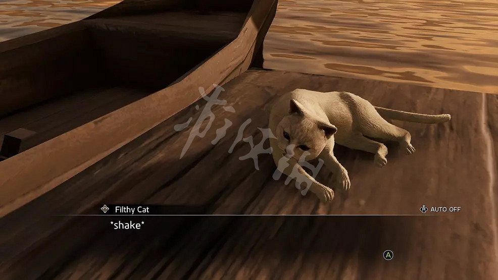 《人中之龍維新極》貓在哪？遊戲貓咪位置介紹