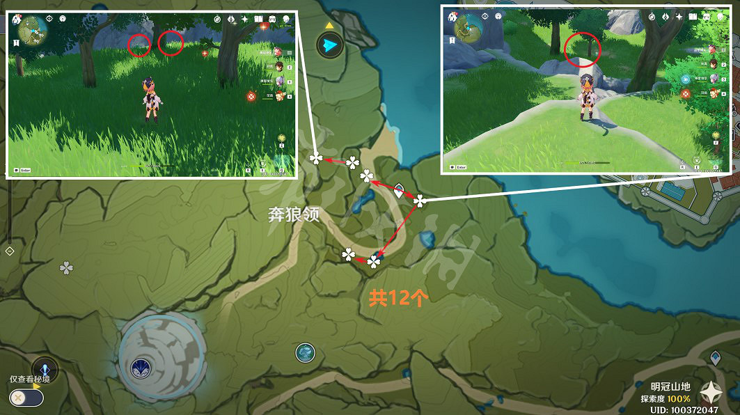 《原神》小燈草在哪裡採？3.4小燈草採集路線推薦