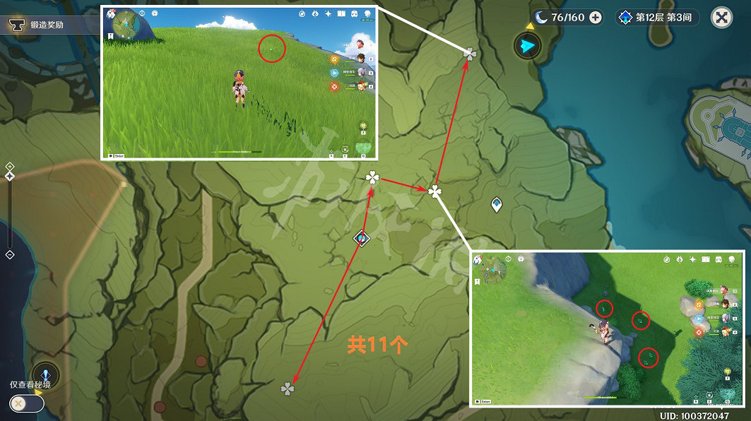 《原神》小燈草在哪裡採？3.4小燈草採集路線推薦