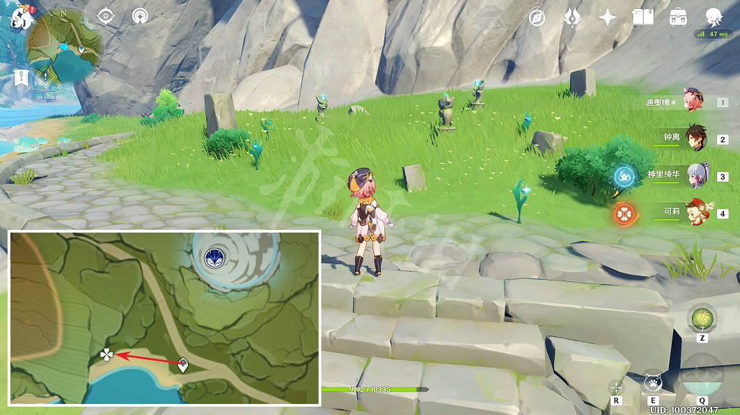 《原神》小燈草在哪裡採？3.4小燈草採集路線推薦