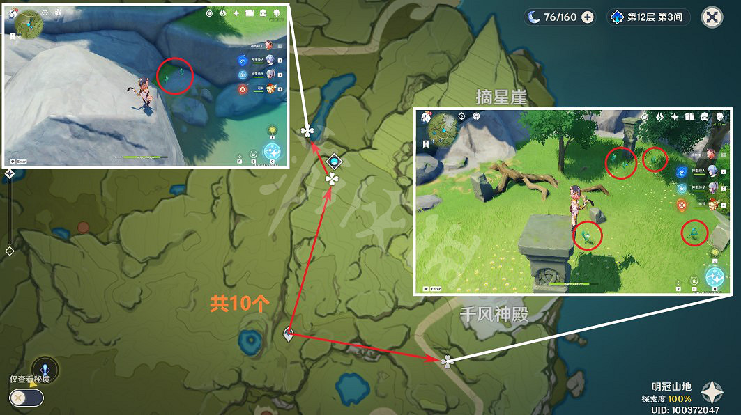 《原神》小燈草在哪裡採？3.4小燈草採集路線推薦