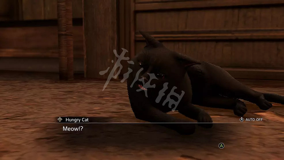 《人中之龍維新極》貓在哪？遊戲貓咪位置介紹