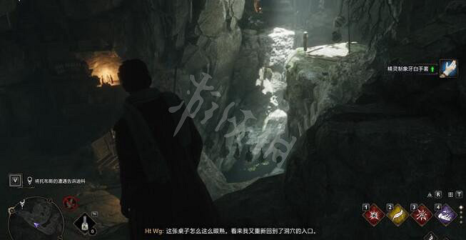 《霍格華茲的傳承》蜘蛛怎麽打？家養小精靈支線任務流程