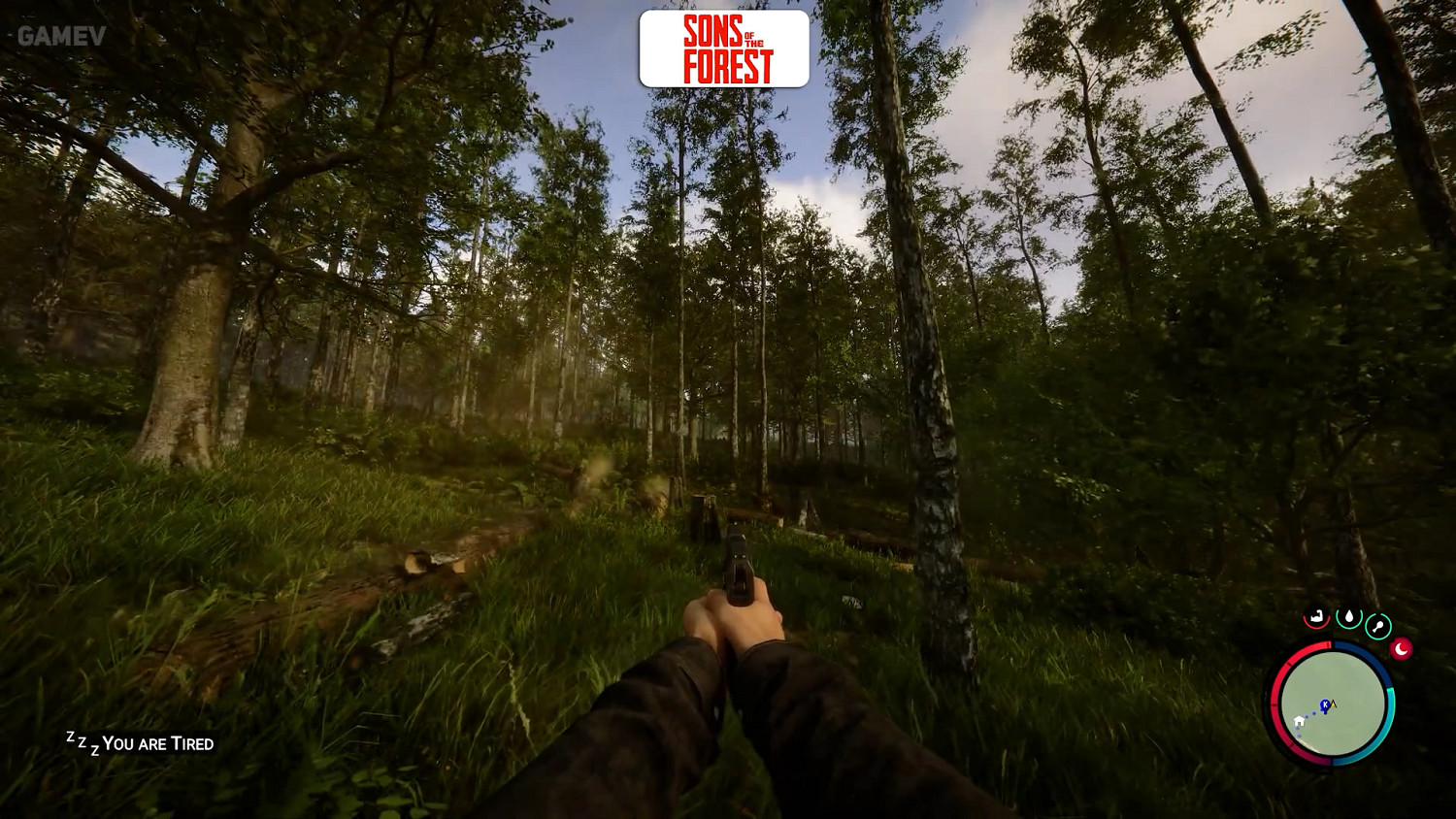 全面勝出！《森林之子》VS《森林》畫面/物理效果對比