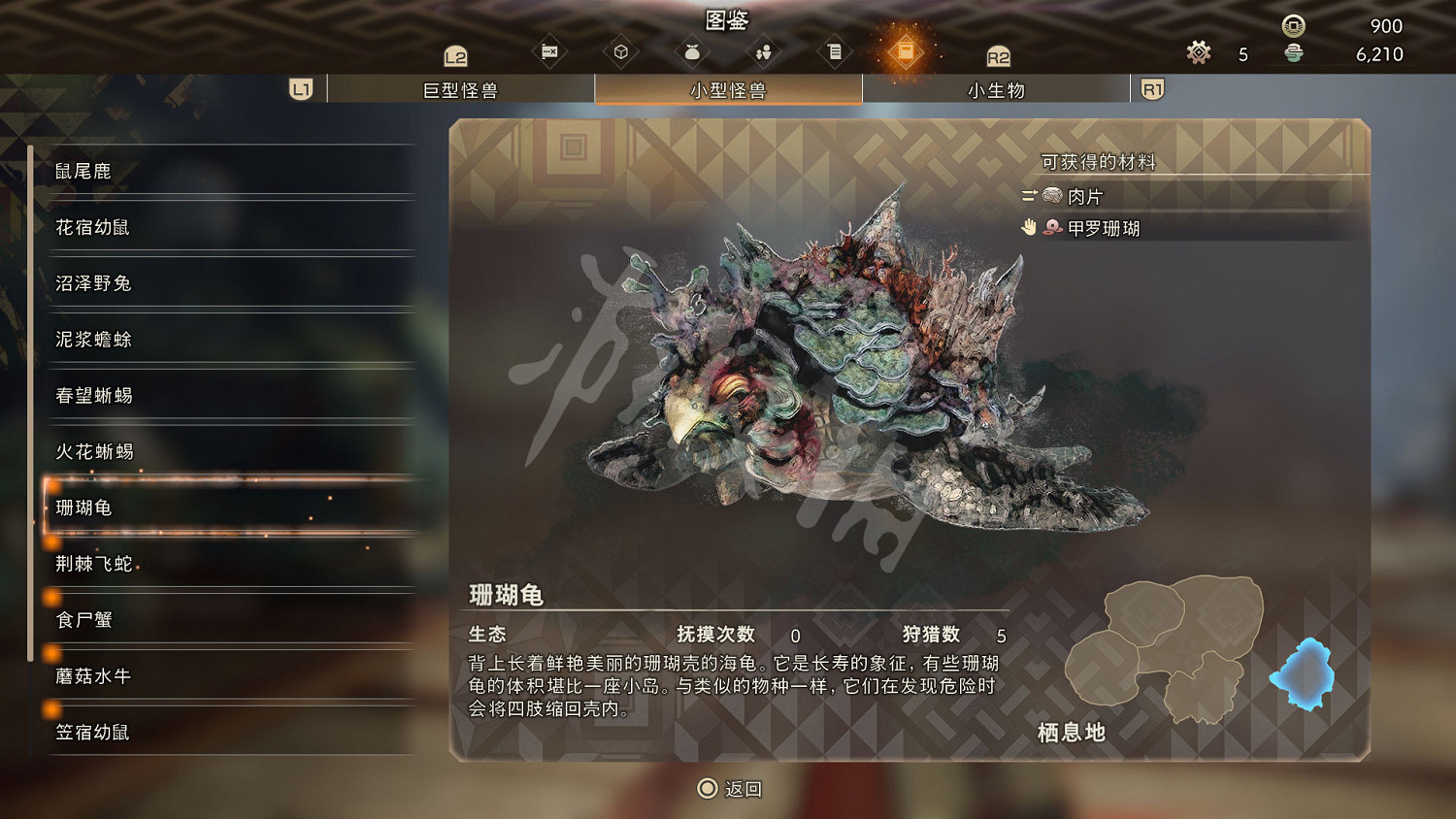 《狂野之心》小型怪物一覽 小型怪獸圖鑒