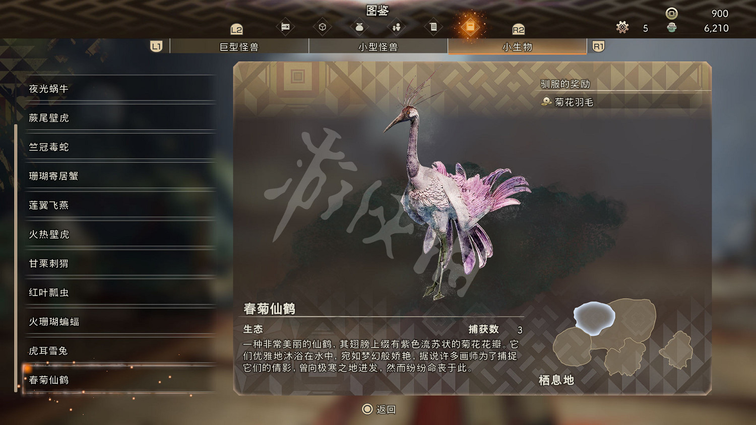 《狂野之心》小型生物圖鑒 小生物生態大全