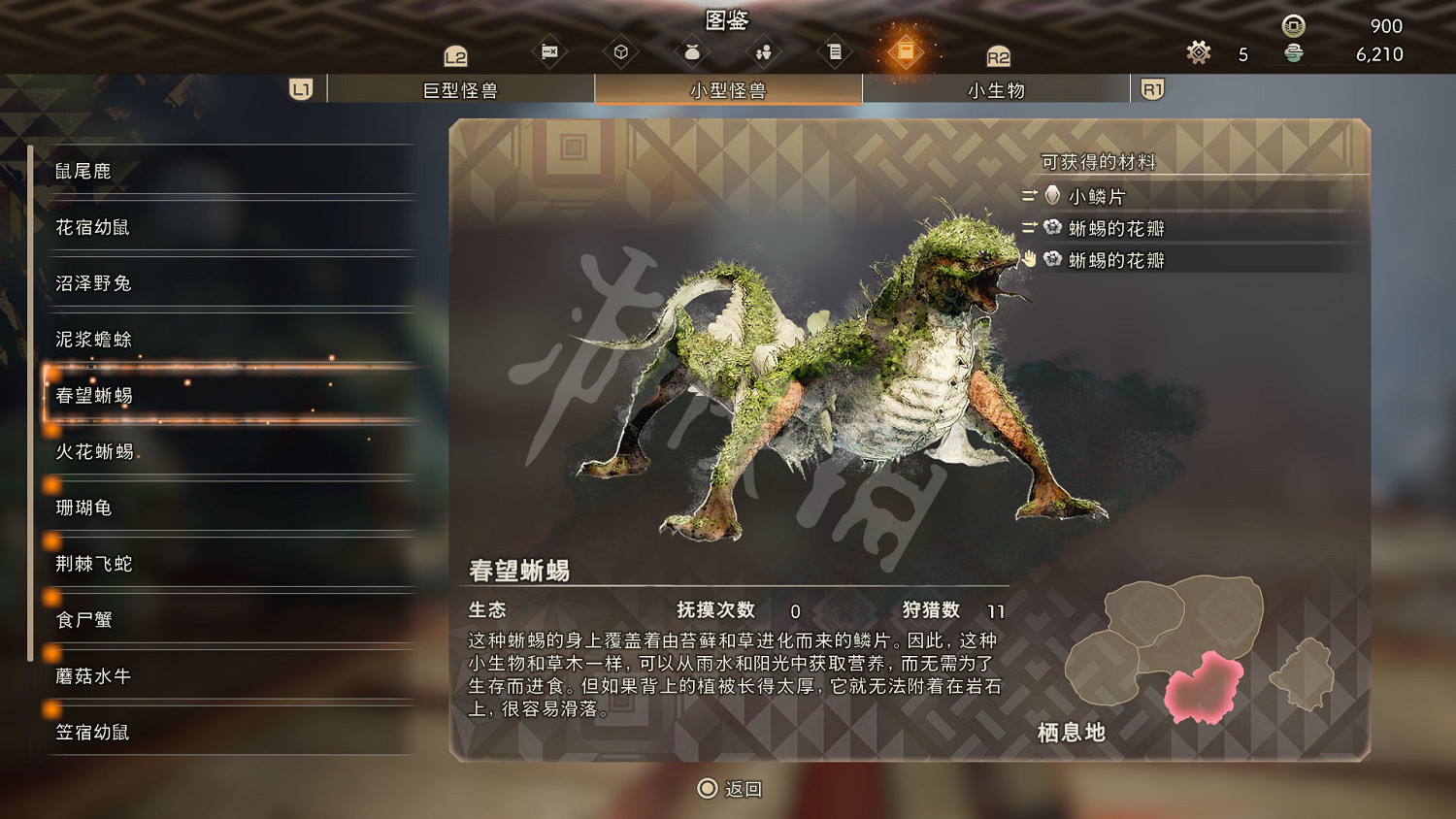 《狂野之心》小型怪物一覽 小型怪獸圖鑒