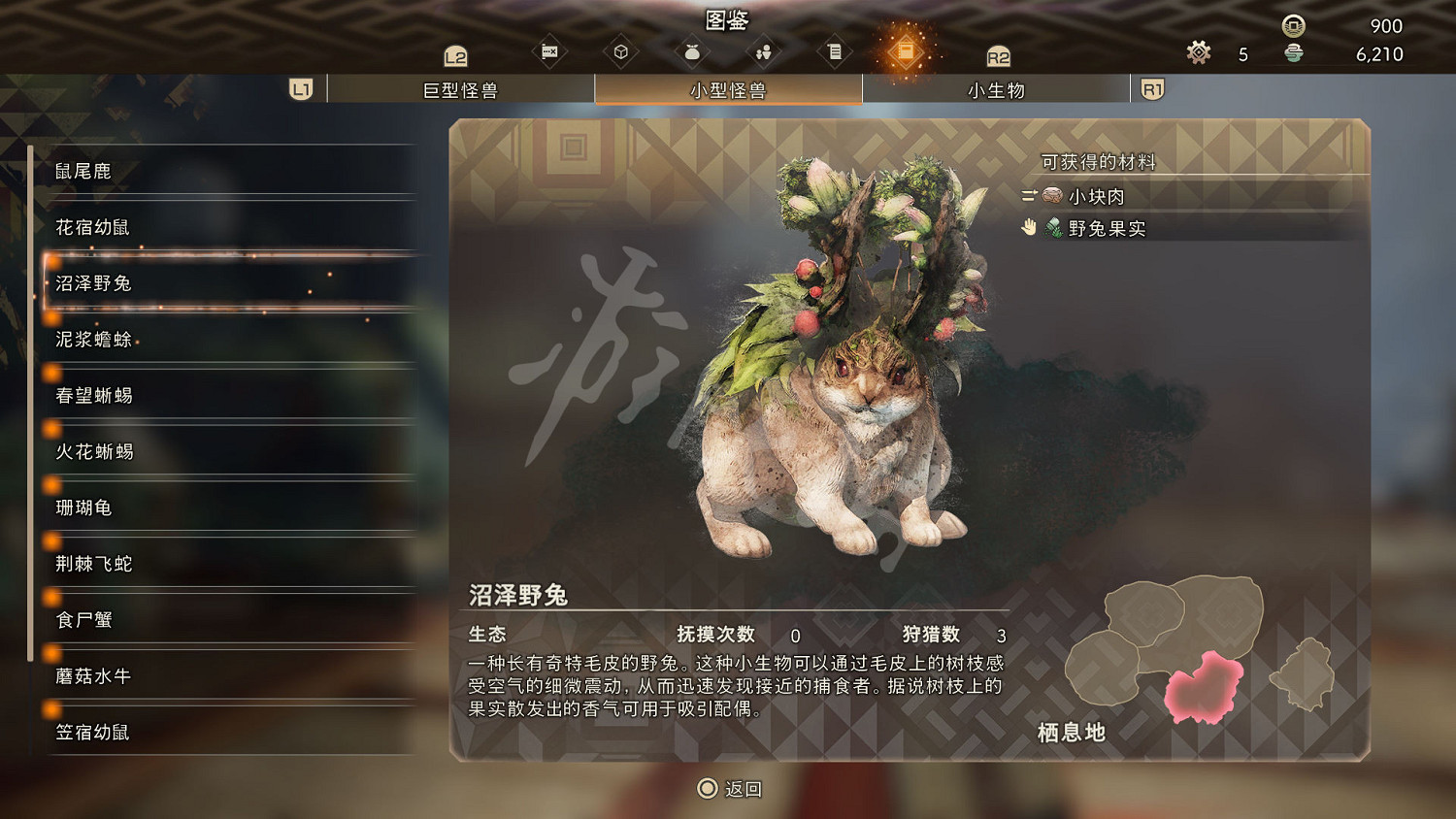 《狂野之心》小型怪物一覽 小型怪獸圖鑒