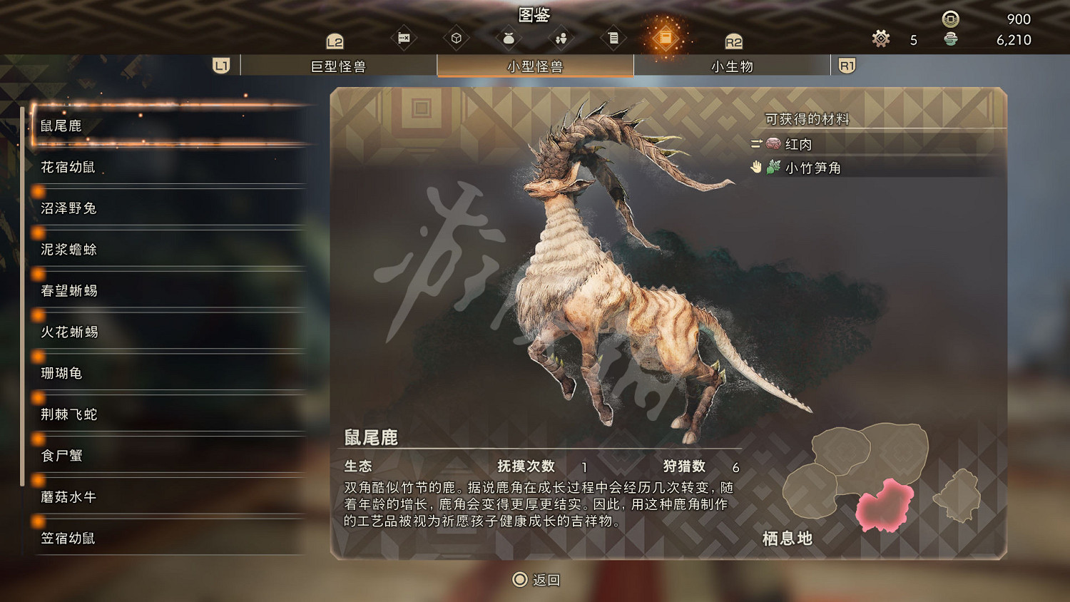 《狂野之心》小型怪物一覽 小型怪獸圖鑒