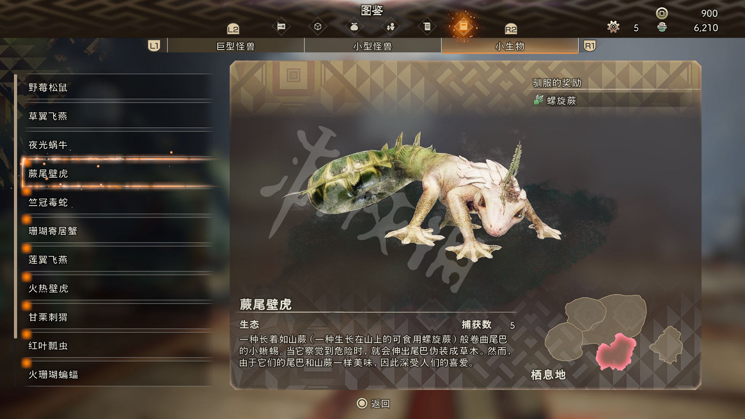 《狂野之心》小型生物圖鑒 小生物生態大全