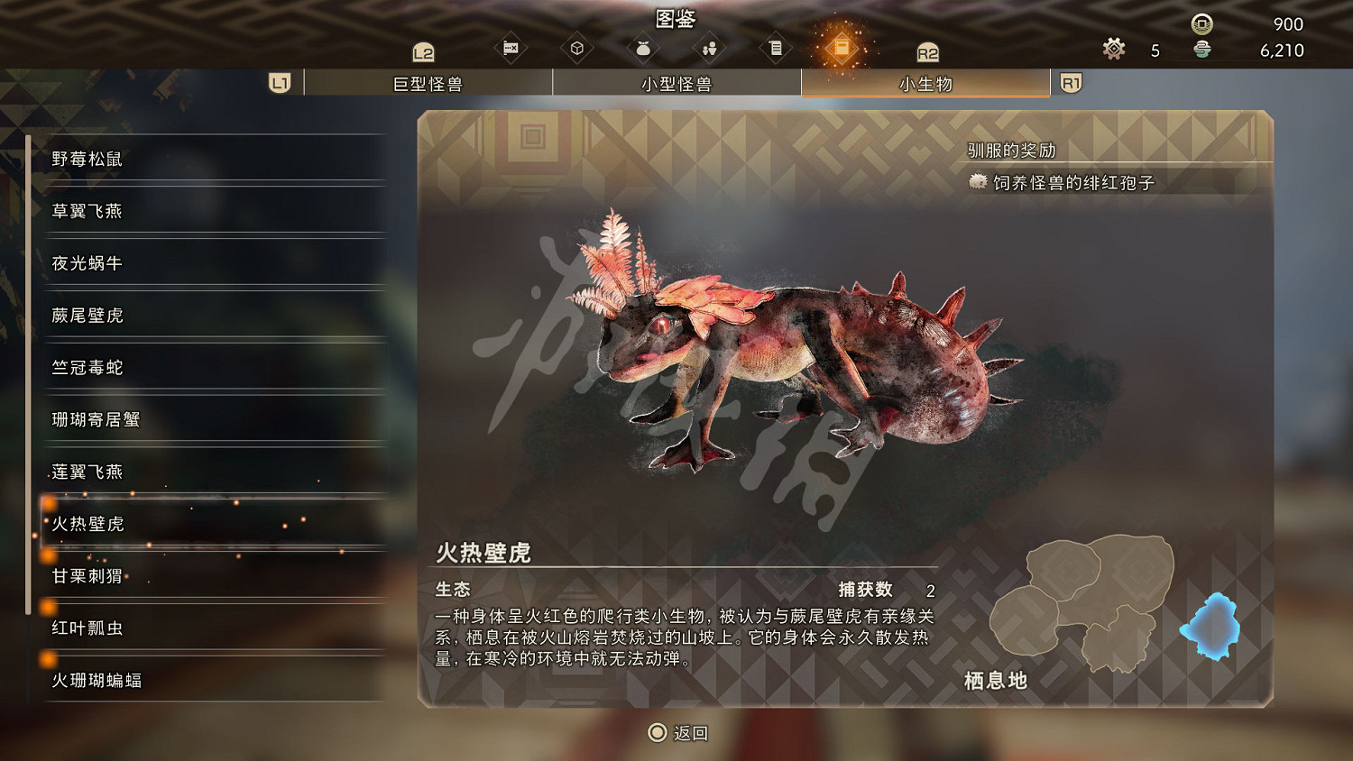 《狂野之心》小型生物圖鑒 小生物生態大全