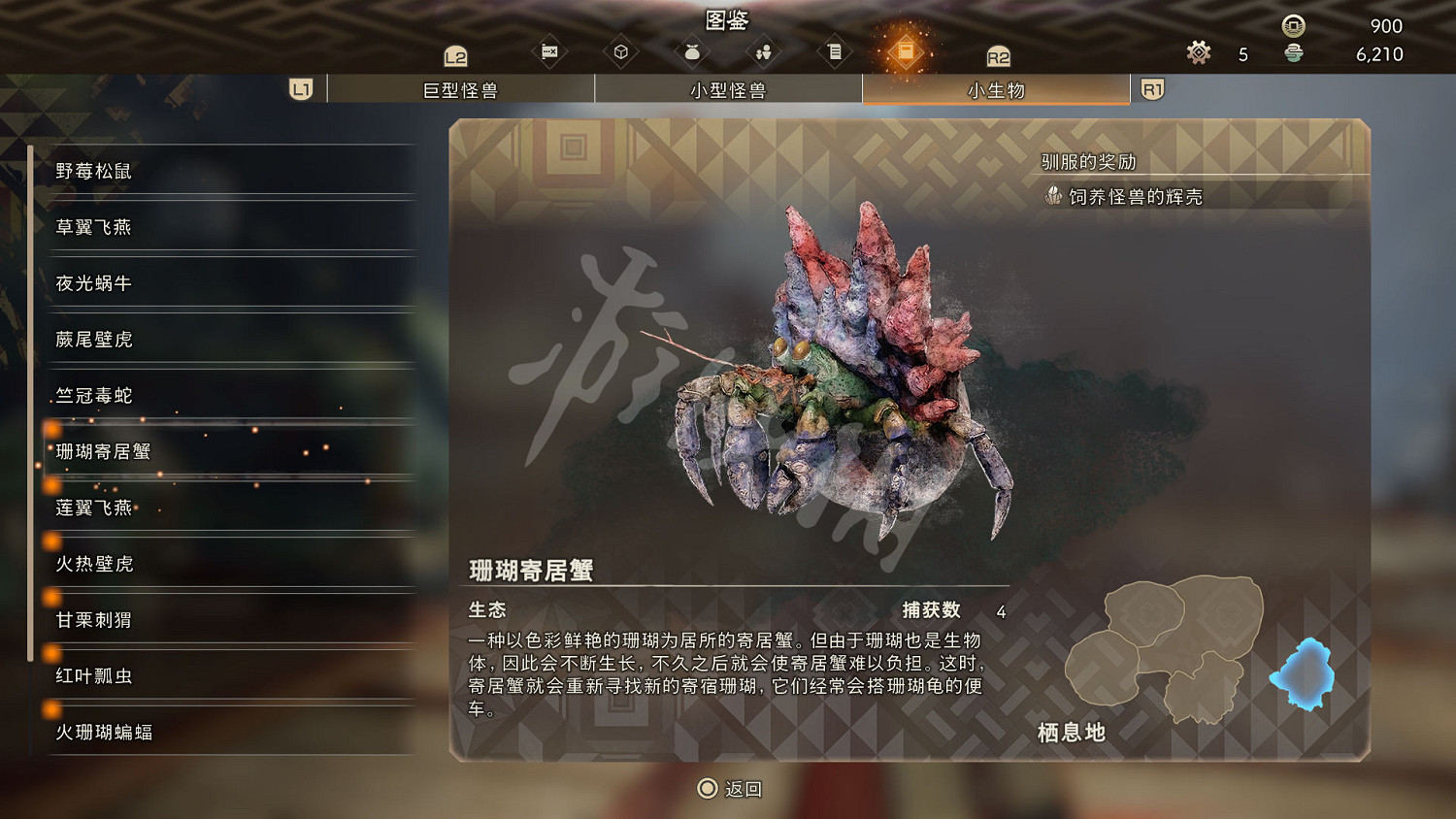 《狂野之心》小型生物圖鑒 小生物生態大全