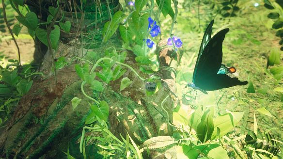 《狂野之心》圖文攻略 全流程全武器全防具全收集全Boss攻略 《狂野之心》圖文攻略 全流程全武器全防具全收集全Boss攻略