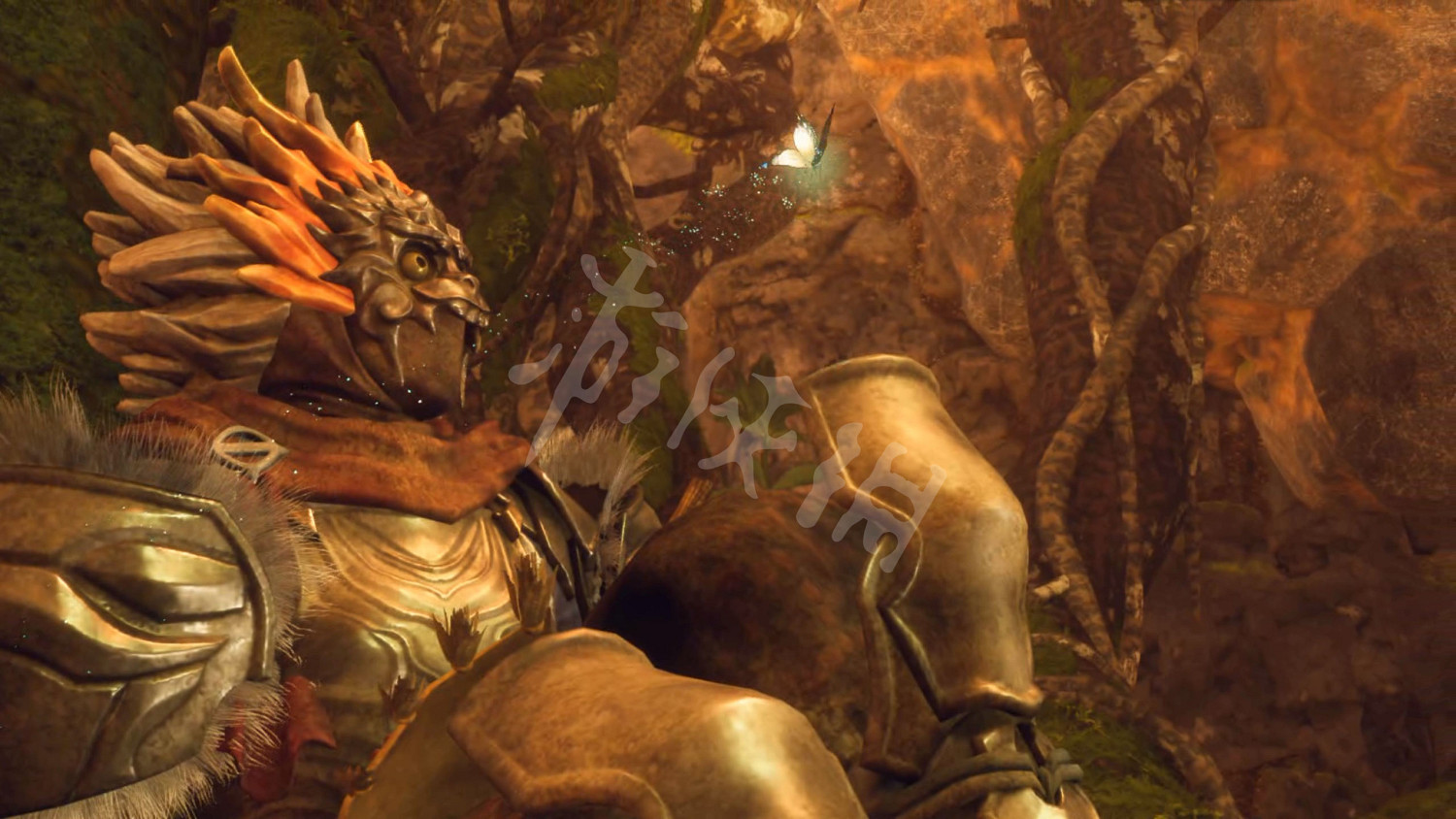 《狂野之心》圖文攻略 全流程全武器全防具全收集全Boss攻略 《狂野之心》圖文攻略 全流程全武器全防具全收集全Boss攻略