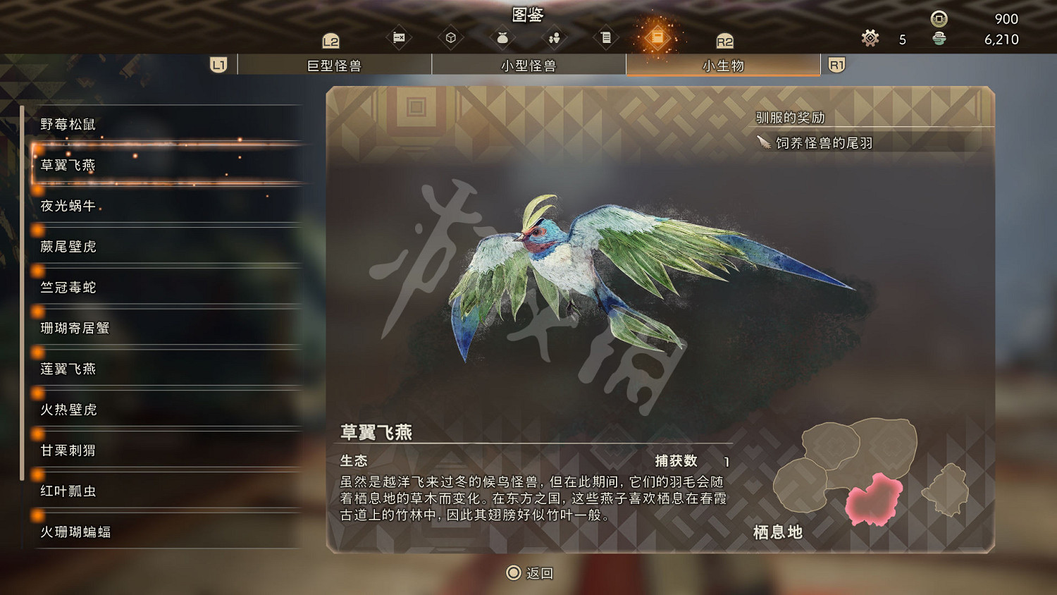 《狂野之心》小型生物圖鑒 小生物生態大全