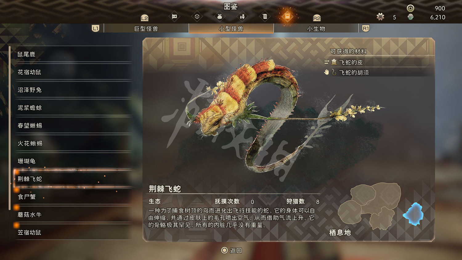 《狂野之心》小型怪物一覽 小型怪獸圖鑒