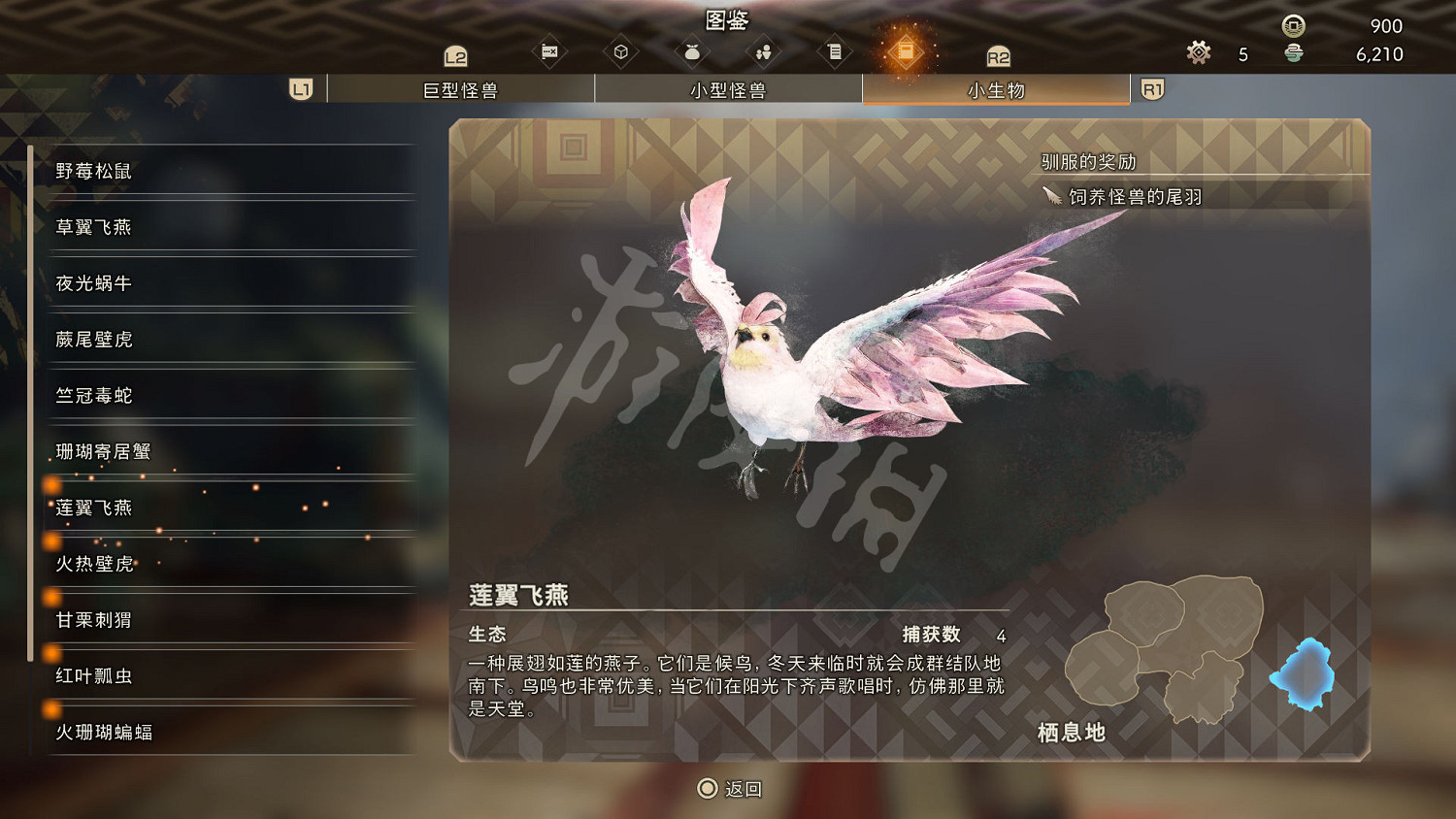 《狂野之心》小型生物圖鑒 小生物生態大全