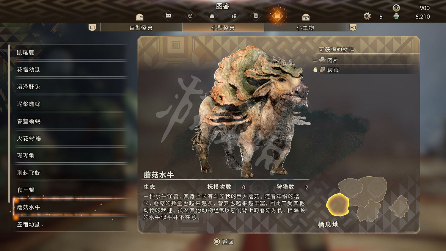 《狂野之心》小型怪物一覽 小型怪獸圖鑒