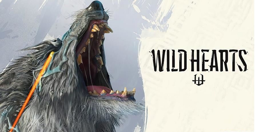 《狂野之心》怎麽隱藏頭盔?頭盔隱藏方法 《狂野之心》怎麽隱藏頭盔?頭盔隱藏方法