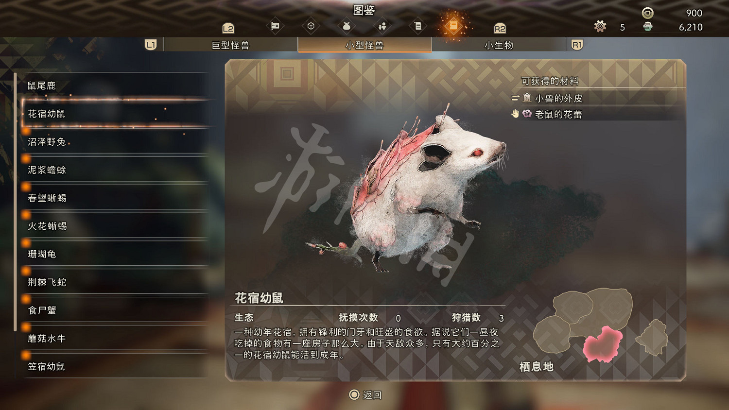 《狂野之心》小型怪物一覽 小型怪獸圖鑒