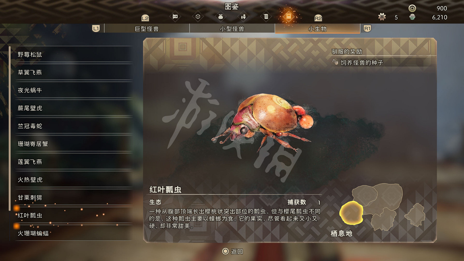 《狂野之心》小型生物圖鑒 小生物生態大全