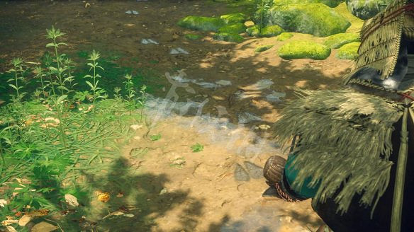 《狂野之心》圖文攻略 全流程全武器全防具全收集全Boss攻略 《狂野之心》圖文攻略 全流程全武器全防具全收集全Boss攻略