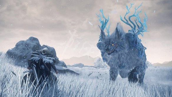 《狂野之心》圖文攻略 全流程全武器全防具全收集全Boss攻略 《狂野之心》圖文攻略 全流程全武器全防具全收集全Boss攻略