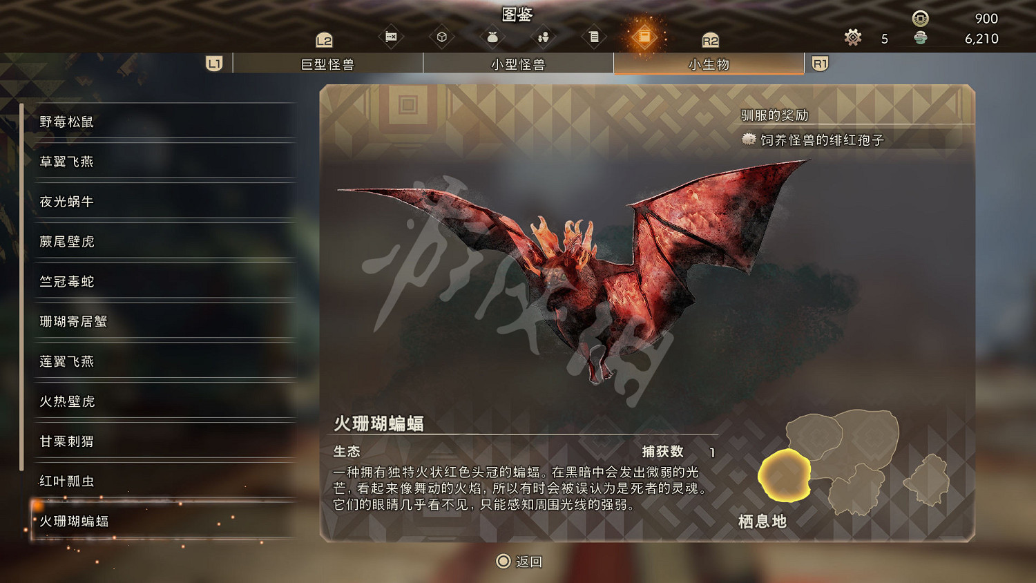 《狂野之心》小型生物圖鑒 小生物生態大全