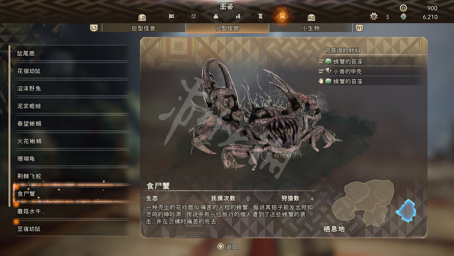 《狂野之心》小型怪物一覽 小型怪獸圖鑒