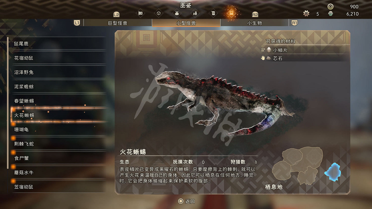 《狂野之心》小型怪物一覽 小型怪獸圖鑒