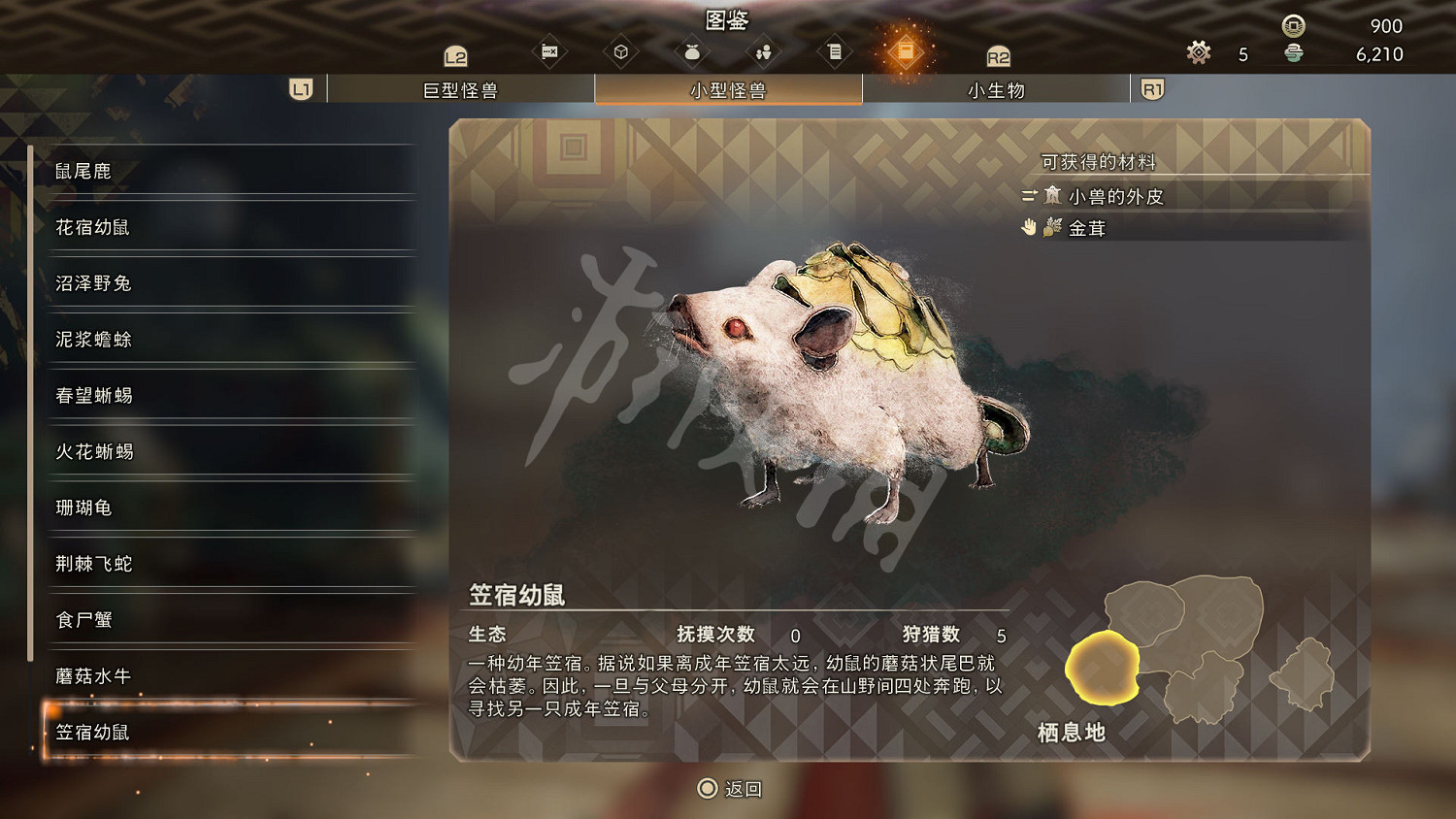 《狂野之心》小型怪物一覽 小型怪獸圖鑒