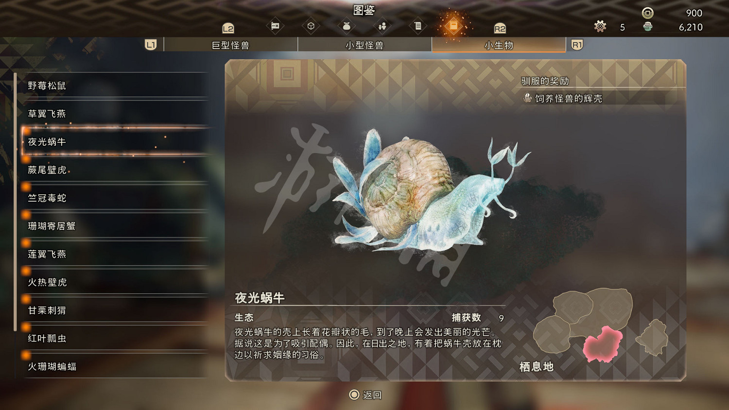 《狂野之心》小型生物圖鑒 小生物生態大全