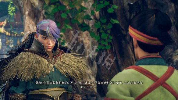 《狂野之心》圖文攻略 全流程全武器全防具全收集全Boss攻略 《狂野之心》圖文攻略 全流程全武器全防具全收集全Boss攻略