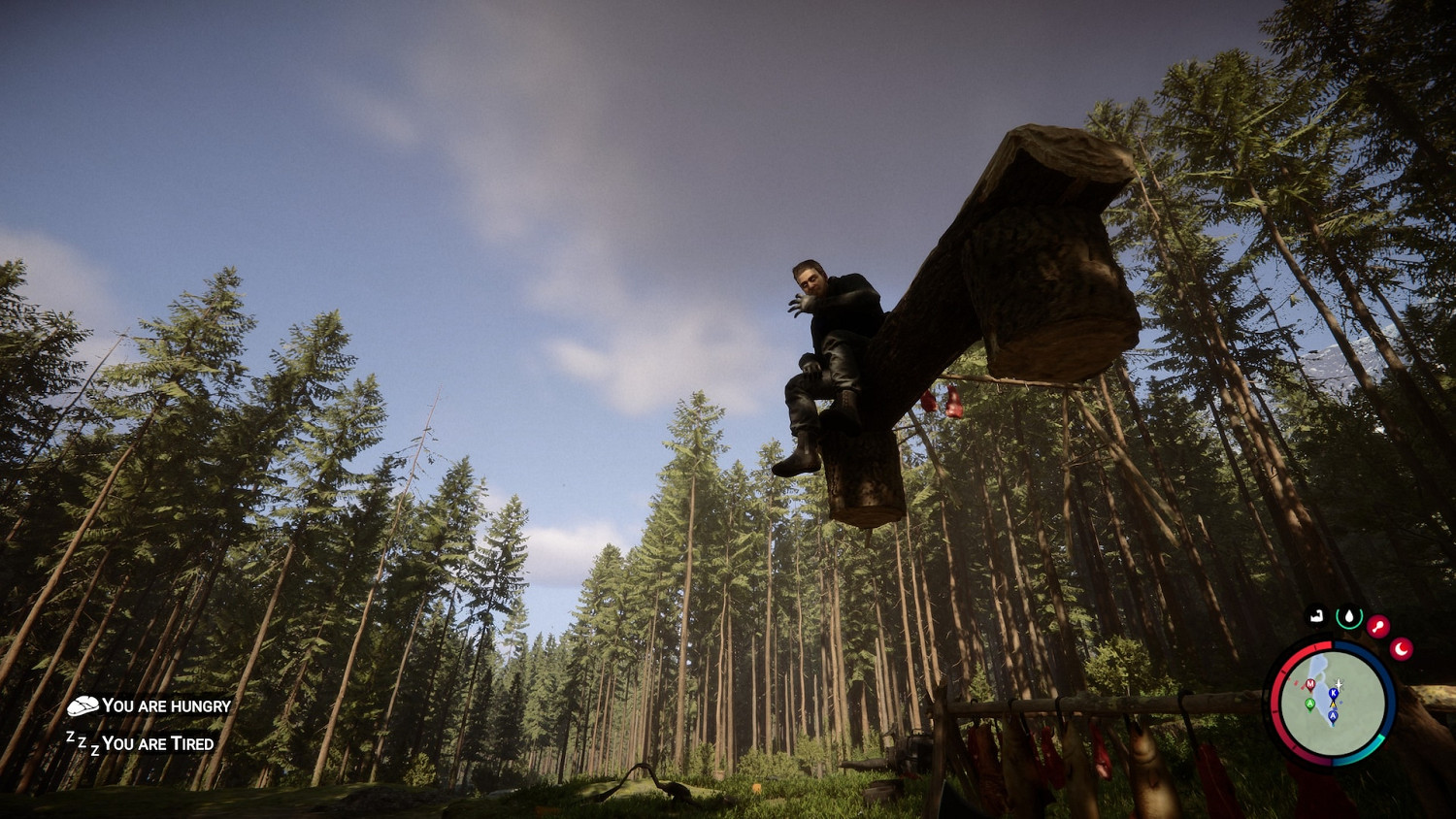 《森林之子》怎麽跑圖?生存跑圖思路 《森林之子》怎麽跑圖?生存跑圖思路