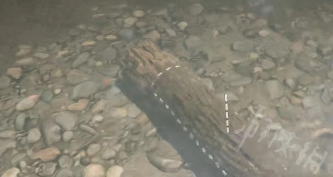 《森林之子》湖面上建房分享 湖面上怎麽建房？