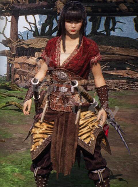 《臥龍蒼天隕落》全武將套裝屬性匯總 武將套裝有哪些？