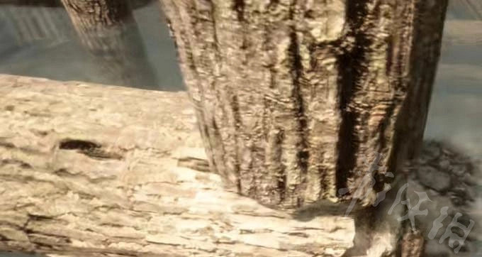 《森林之子》湖面上建房分享 湖面上怎麽建房？