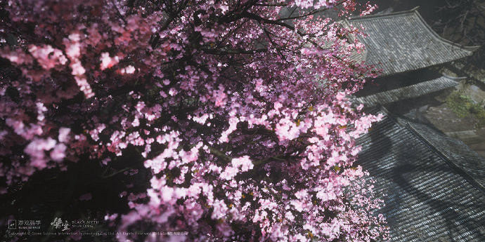 《黑神話:悟空》官網新截圖 展現蜘蛛精關卡環境 《黑神話:悟空》官網新截圖 展現蜘蛛精關卡環境