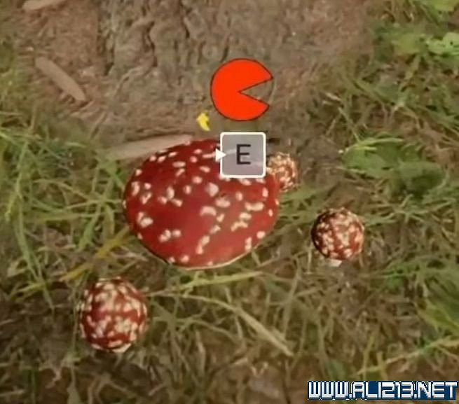 《森林之子》新手攻略圖文全解析 新手開荒及收集攻略 《森林之子》新手攻略圖文全解析 新手開荒及收集攻略