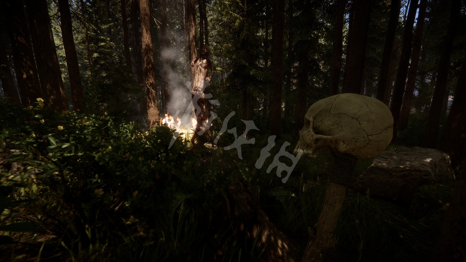 《森林之子》會登錄xbox嗎?發售平台介紹 《森林之子》會登錄xbox嗎?發售平台介紹