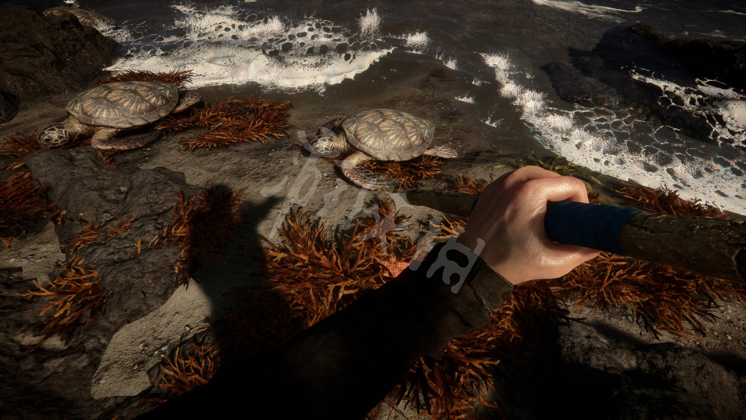 《森林之子》配置要求高嗎?遊戲推薦配置介紹 《森林之子》配置要求高嗎?遊戲推薦配置介紹