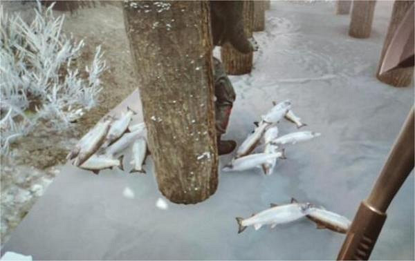 《森林之子》捕魚工具怎麽用?捕魚工具使用方法 《森林之子》捕魚工具怎麽用?捕魚工具使用方法