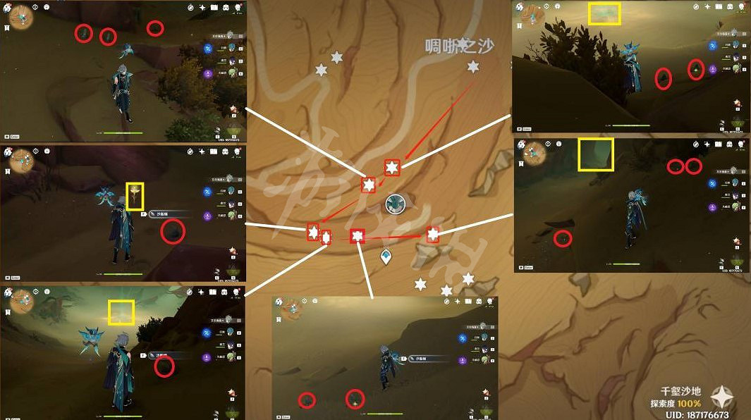 《原神》沙脂蛹採集路線圖 迪希雅突破材料沙脂蛹收集路線推薦