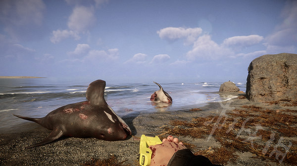 《森林之子》PS4和PS5介紹 PS4和PS5是否會上架？