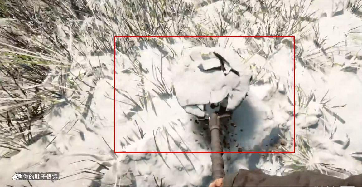 《森林之子》霰彈槍在哪？霰彈槍位置介紹