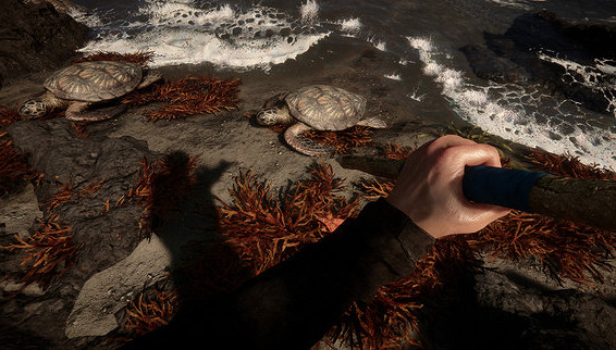 《森林之子》火堆怎麽做？火堆製造方法分享