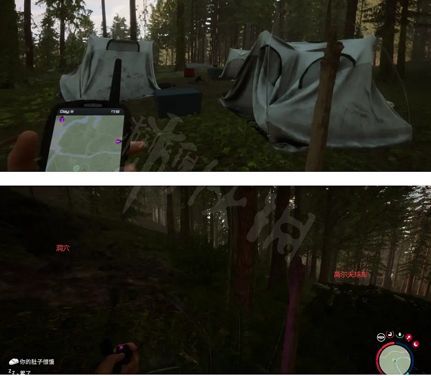 《森林之子》前期開荒怎麽玩?前期開荒路徑推薦 《森林之子》前期開荒怎麽玩?前期開荒路徑推薦